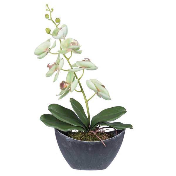 20.5" Artificial Green Orchid Arrangement With Oval Container