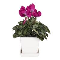 Vickerman 13" Artificial Hot Pink Cyclamen in Planter