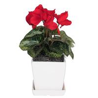 Vickerman 13" Artificial Red Cyclamen in Planter