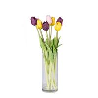 Vickerman 16" Artificial Mixed Tulip Arrangement With Glass Cylinder