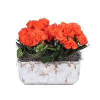 Vickerman 10" Artificial Orange Begonia Bush With Cement Rectangle