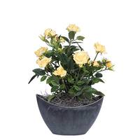 Vickerman 13.5" Artificial Mini Diamond Rose Bush With Oval Container