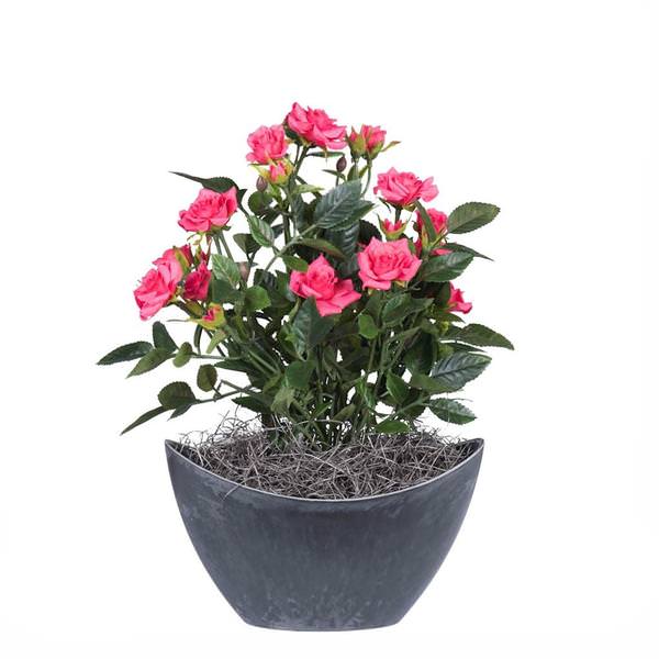 13.5" Artificial Mini Hot Pink Diamond Rose Bush With Oval Container