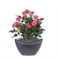 Vickerman 13.5" Artificial Mini Hot Pink Diamond Rose Bush With Oval Container