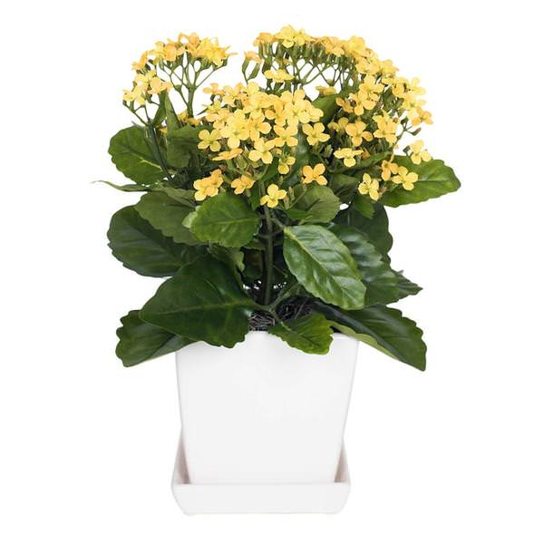13" Artificial Yellow Kalanchoe With Ceramic Planter