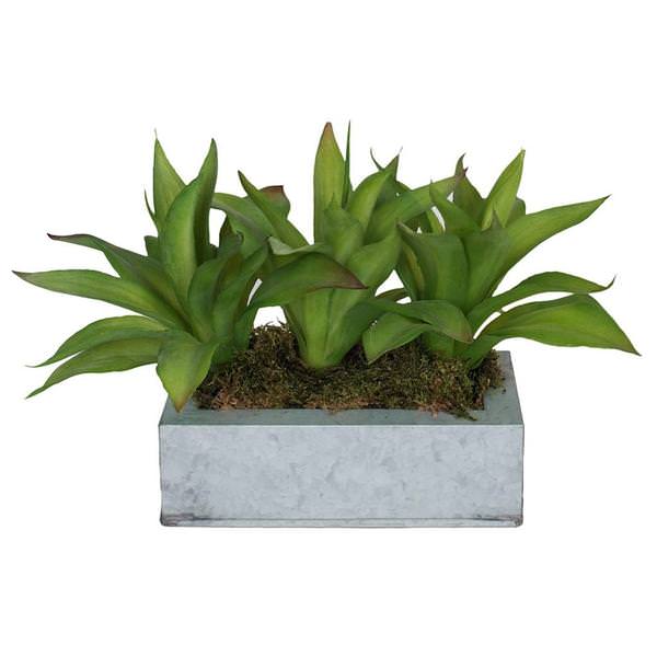 14" Artificial Agave in Square Slate Container