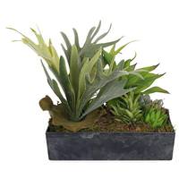 Vickerman 3.5" Artificial Succulent Variety in Woodland Planter