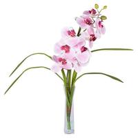 Vickerman 22" Artificial Pink Orchid in Vase
