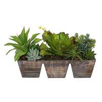 Vickerman 8.5" Artificial Succulents in Wood Planter