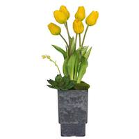 Vickerman 18" Artificial Yellow Tulips in Square Plastic Vase