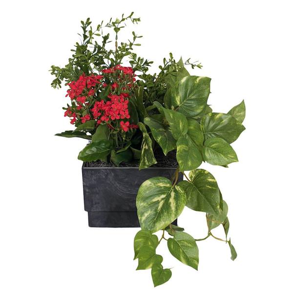 16" Artificial Red Kalanchoe in Square Vase