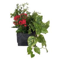 Vickerman 16" Artificial Red Kalanchoe in Square Vase