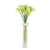 Vickerman 15" Artificial Green Calla Lily Bunch in Acrylic Water