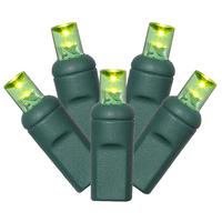 Vickerman 70 Light 24' Green Wire Lime Wide Twinkle LED String Light Set with 4" Spacing