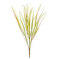 Vickerman 29" Artificial Green Dracena Marginata Bush