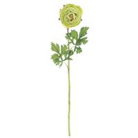 Vickerman 23" Artificial Green Ranunculus Stem (4 pack)