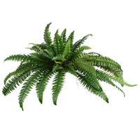 Vickerman 33" Artificial Green Fern Bush Spray