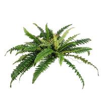 Vickerman 23" Artificial Green Fern Bush Spray