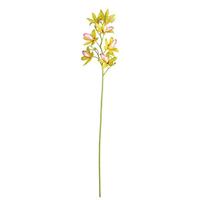 View 32" Artificial Green Orchid Stem (6 pack)