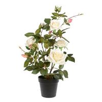 View 21" Artificial Potted White Rose Plant
