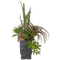 Vickerman 22" Artificial Succulents in Container
