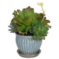 Vickerman 12.5" Artificial Succulent Mix in Blue Ceramic Pot