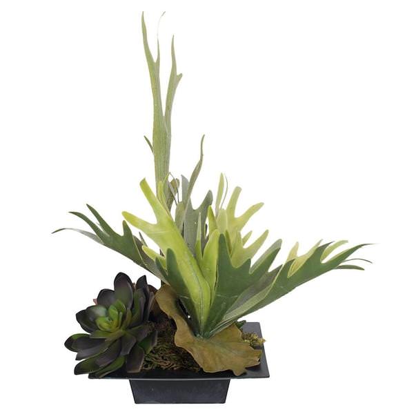 18" Artificial Staghorn Fern / Mixed Succulents with Square Container