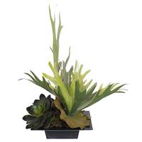 Vickerman 18" Artificial Staghorn Fern / Mixed Succulents with Square Container