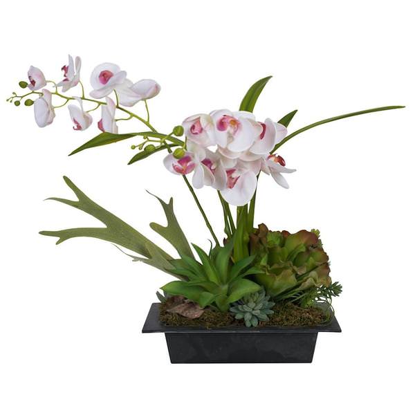 33" Artificial White Orchid with Various Succulents