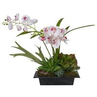 Vickerman 33" Artificial White Orchid with Various Succulents
