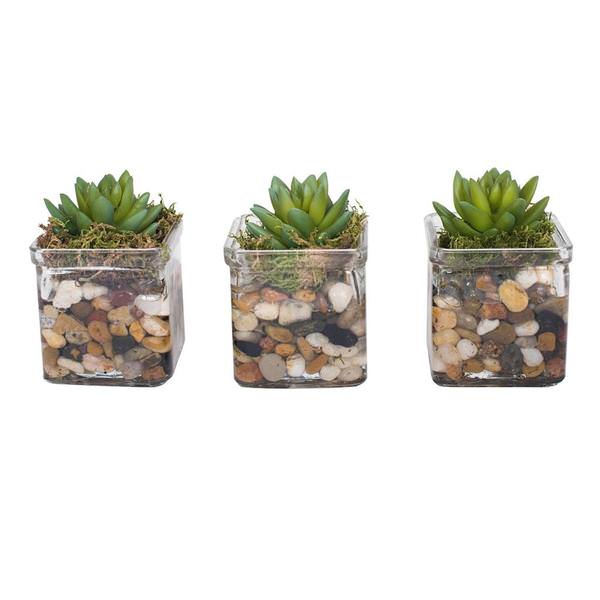 5" Artificial Jade Succulent Set in Cube Vases (3 pack)