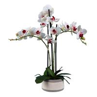 Vickerman 24" Artificial Pink Orchid With Ceramic Pot