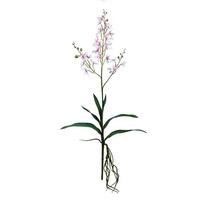 Vickerman 30.5" Artificial Mini Pink/White Orchid Spray (3 pack)