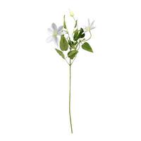 Vickerman 25" Artificial White Clematis Spray (6 pack)