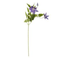 Vickerman 25" Artificial Light Purple Clematis Spray (6 pack)