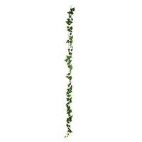Vickerman 7.7' Artificial Green Ivy Rattan Garland (3 pack)