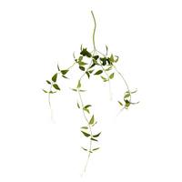 Vickerman 27" Artificial Green Clematis Spray (6 pack)