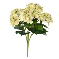 Vickerman 23" Artificial Green Hydrangea Spray