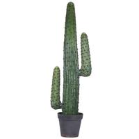 Vickerman 49" Artificial Potted Green Cactus