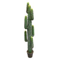Vickerman 72" Artificial Potted Green Cactus