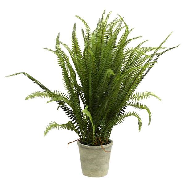 27" Artificial Green Grass in Paper Pot