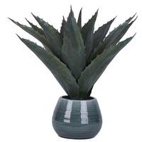 Vickerman 18" Artificial Green Succulent in Ceramic Pot