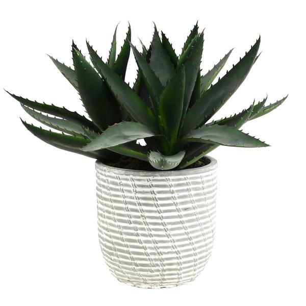 14" Artificial Green Succulent in Concrete Gray Pot