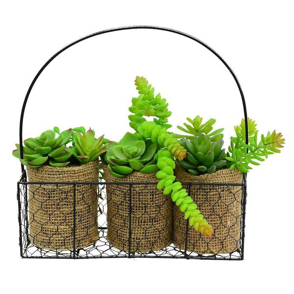 11" 3 Green Artificial Assorted Succulents in Galvanized Hanger