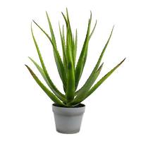 Vickerman 23" Artificial Green Aloe in Round Gray Pot