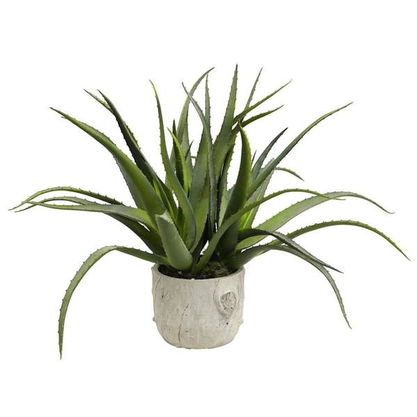19.5" Artificial Green Aloe in Round Concrete Pot