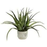 Vickerman 19.5" Artificial Green Aloe in Round Concrete Pot