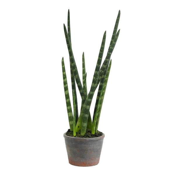 17" Artificial Green Tiger Tail Plant in Paper Pot