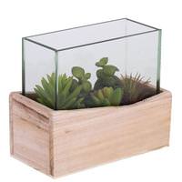 Vickerman 12" Artificial Assorted Succulents in Wood Container with Glass Top