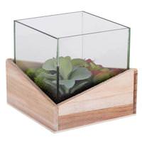 Vickerman 6" Artificial Assorted Succulents in Wood Container with Glass Top